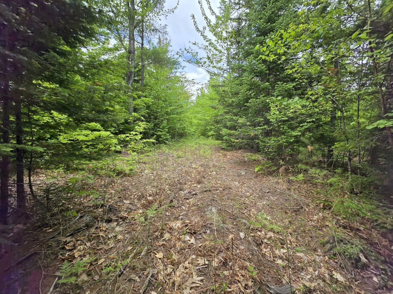 Lot 10c Staples Pond Road Property Photo 17