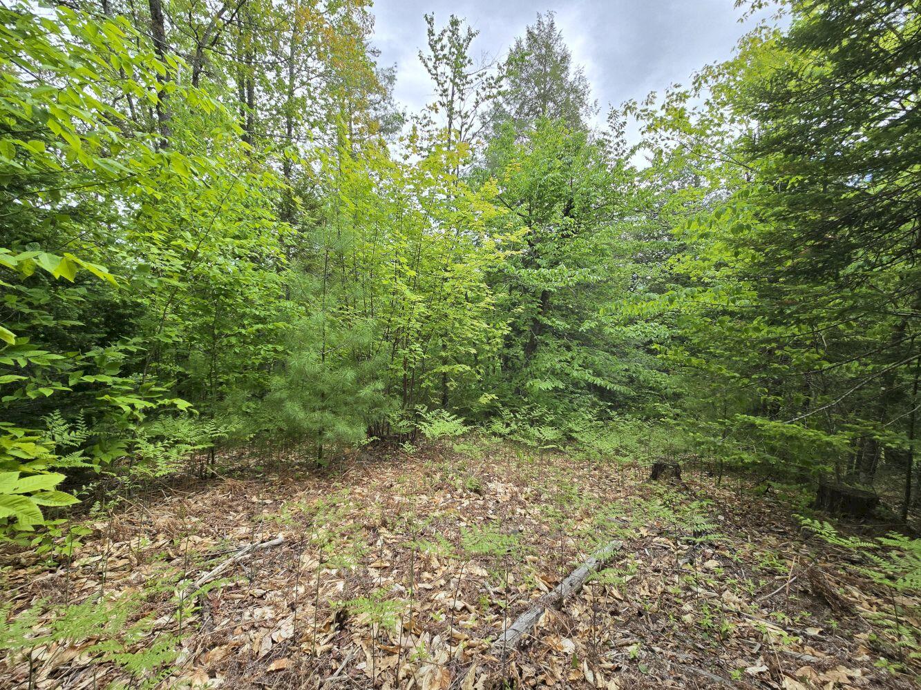 Lot 10c Staples Pond Road Property Photo 18