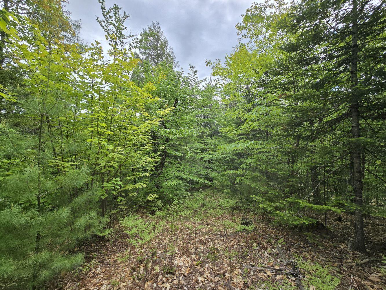 Lot 10c Staples Pond Road Property Photo 19