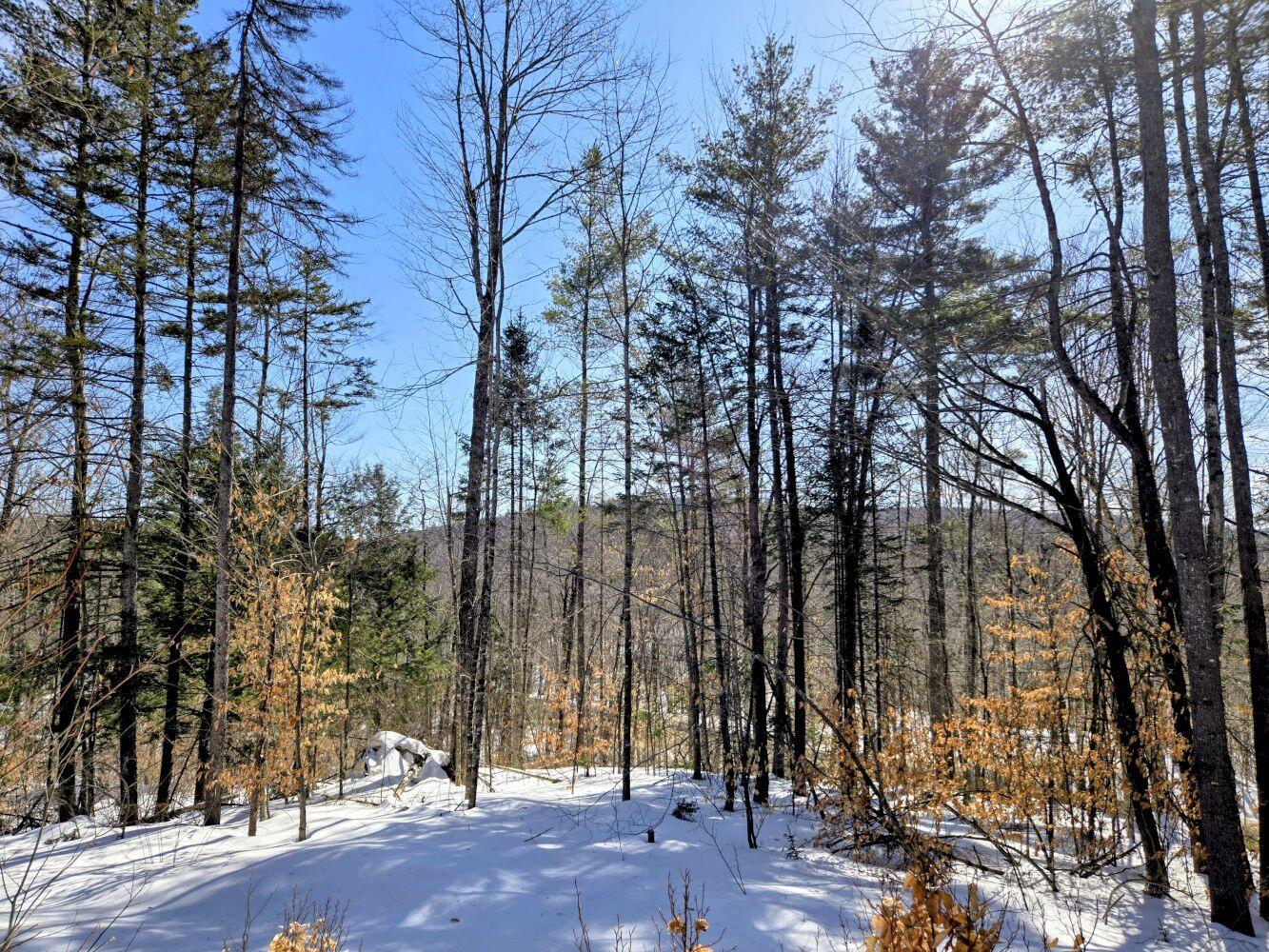Lot 10c Staples Pond Road Property Photo 20