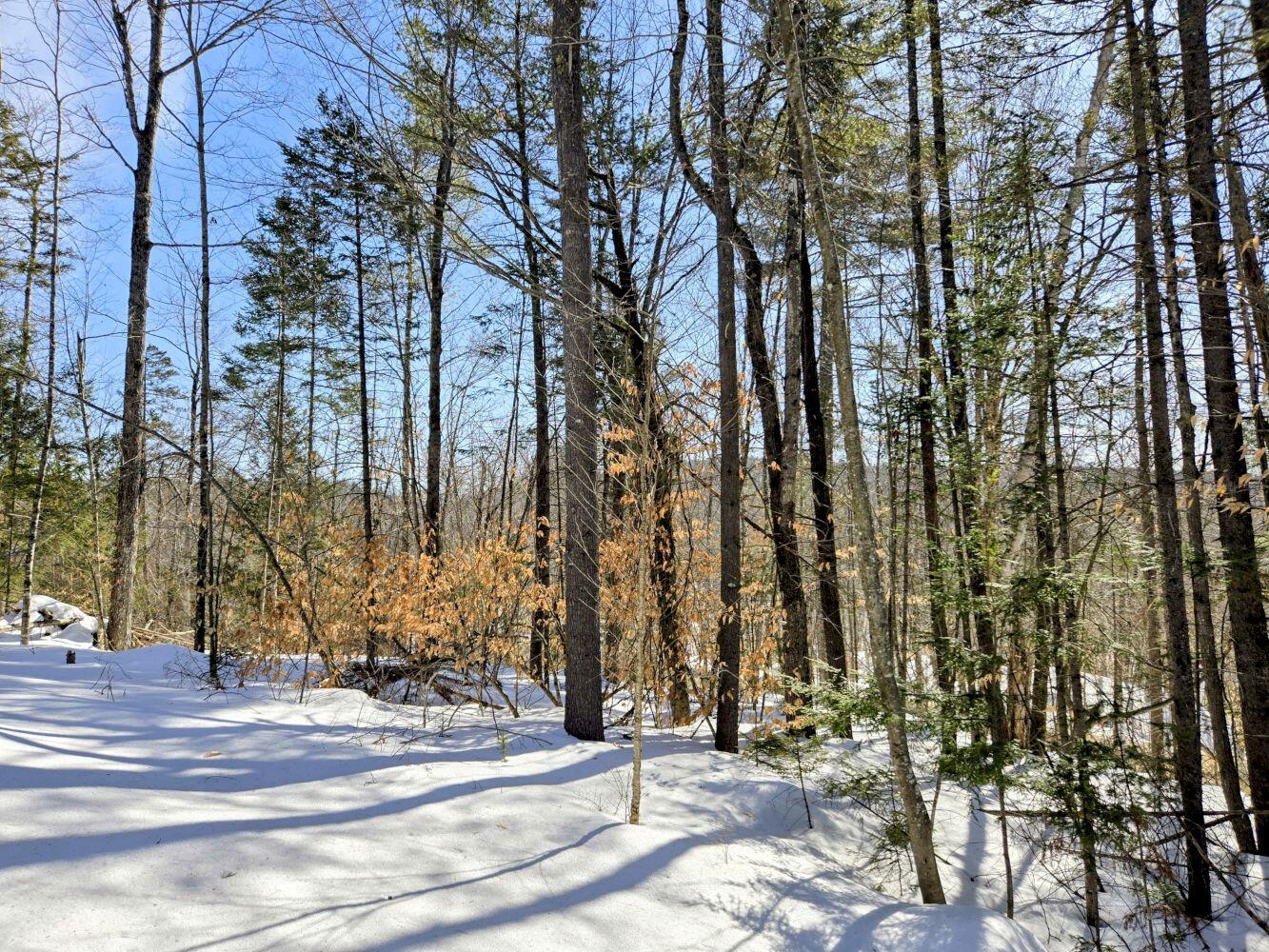 Lot 10c Staples Pond Road Property Photo 22