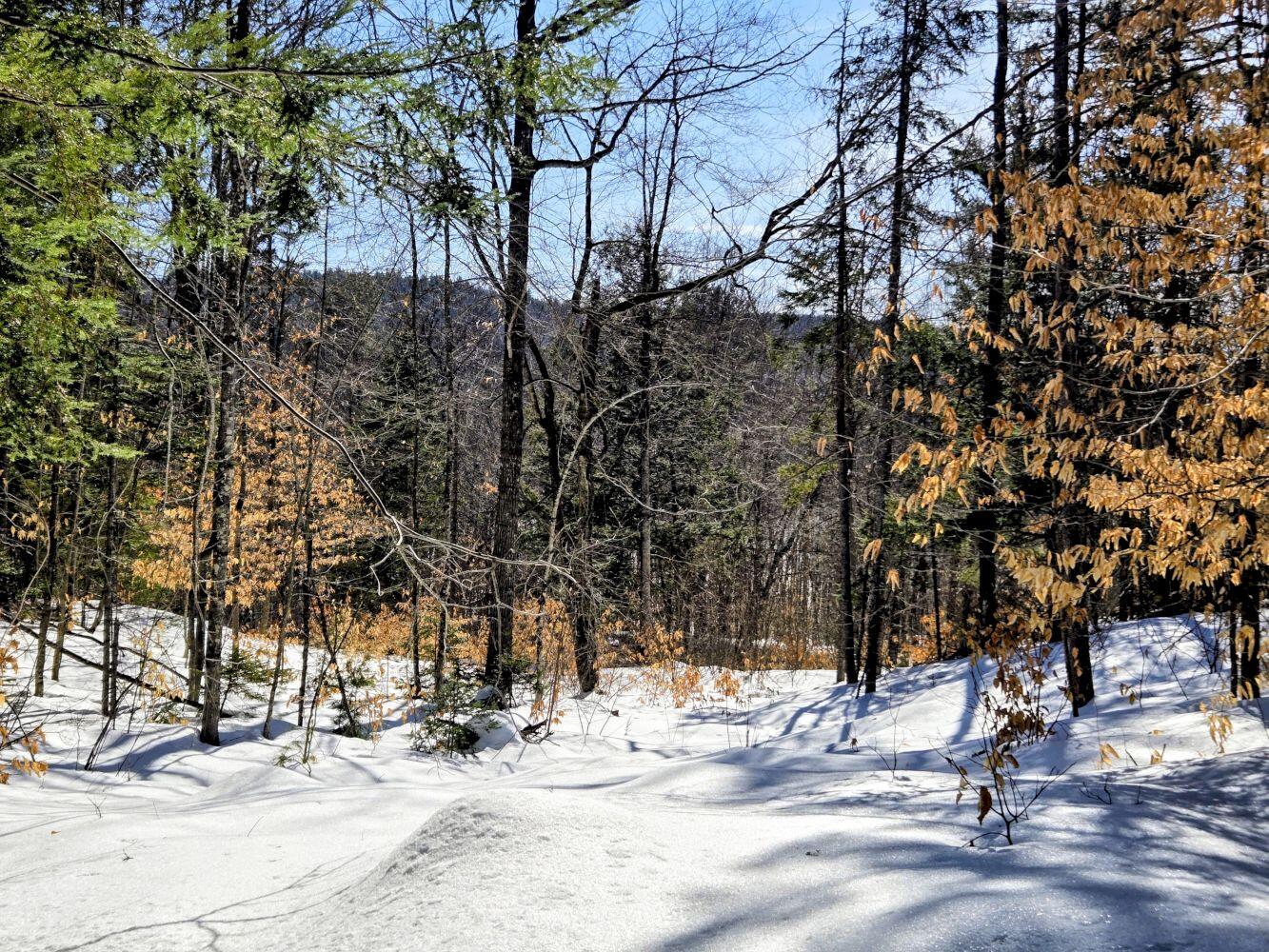 Lot 10c Staples Pond Road Property Photo 23