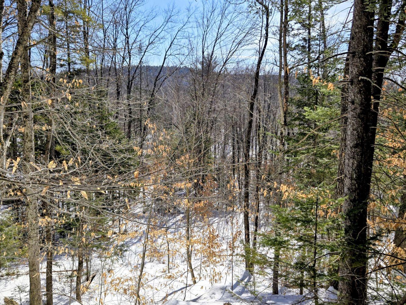 Lot 10c Staples Pond Road Property Photo 24