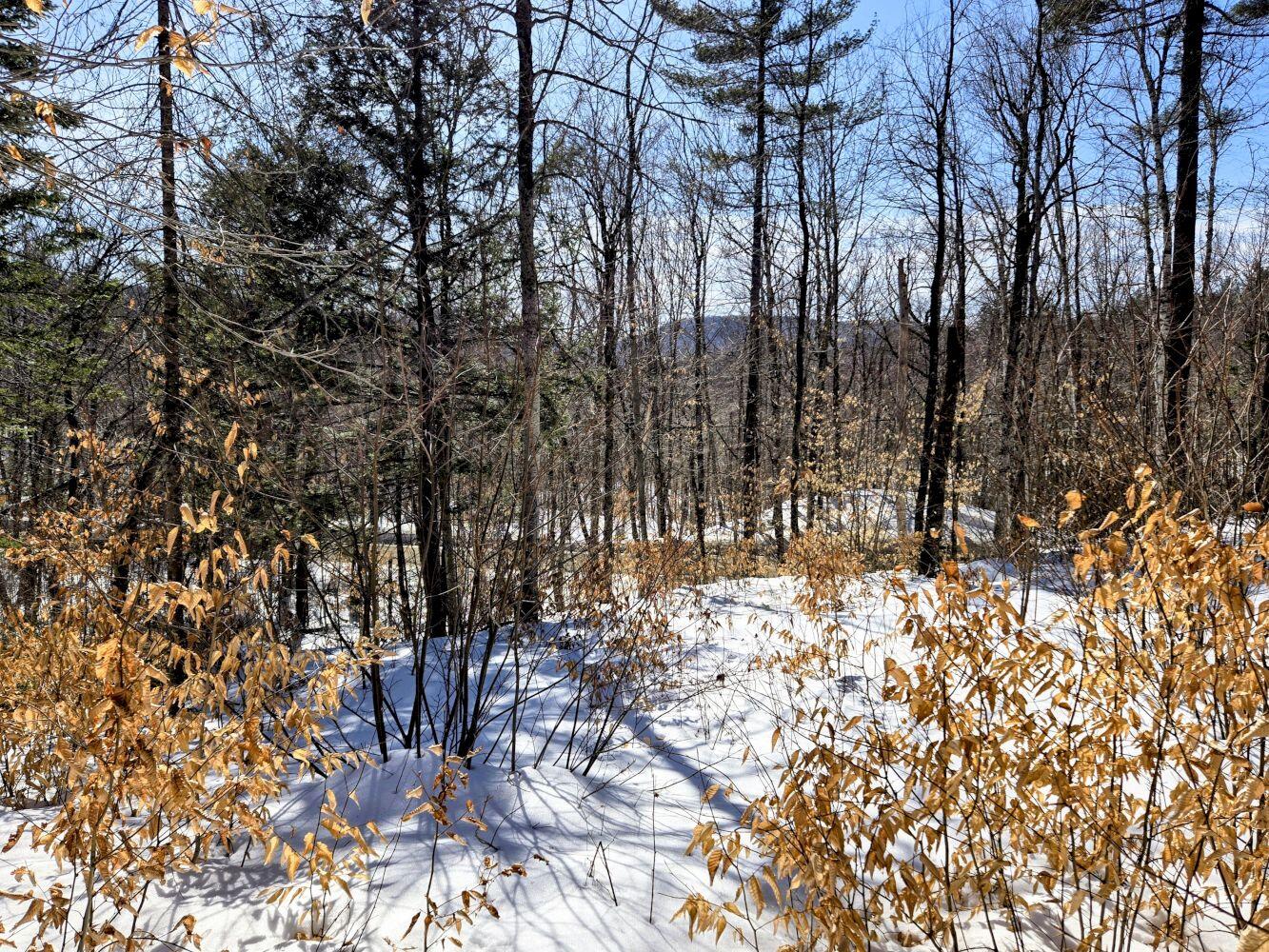 Lot 10c Staples Pond Road Property Photo 27