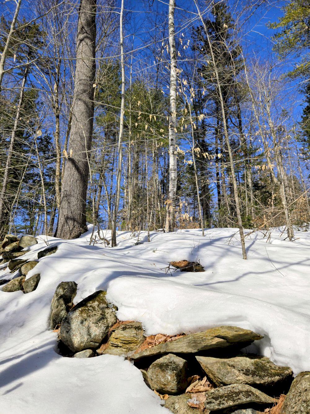 Lot 10c Staples Pond Road Property Photo 28