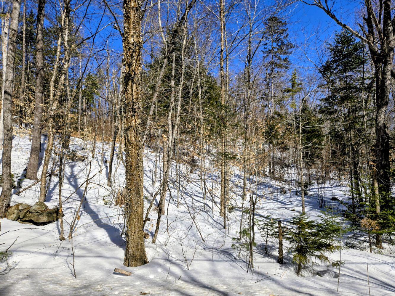 Lot 10c Staples Pond Road Property Photo 30