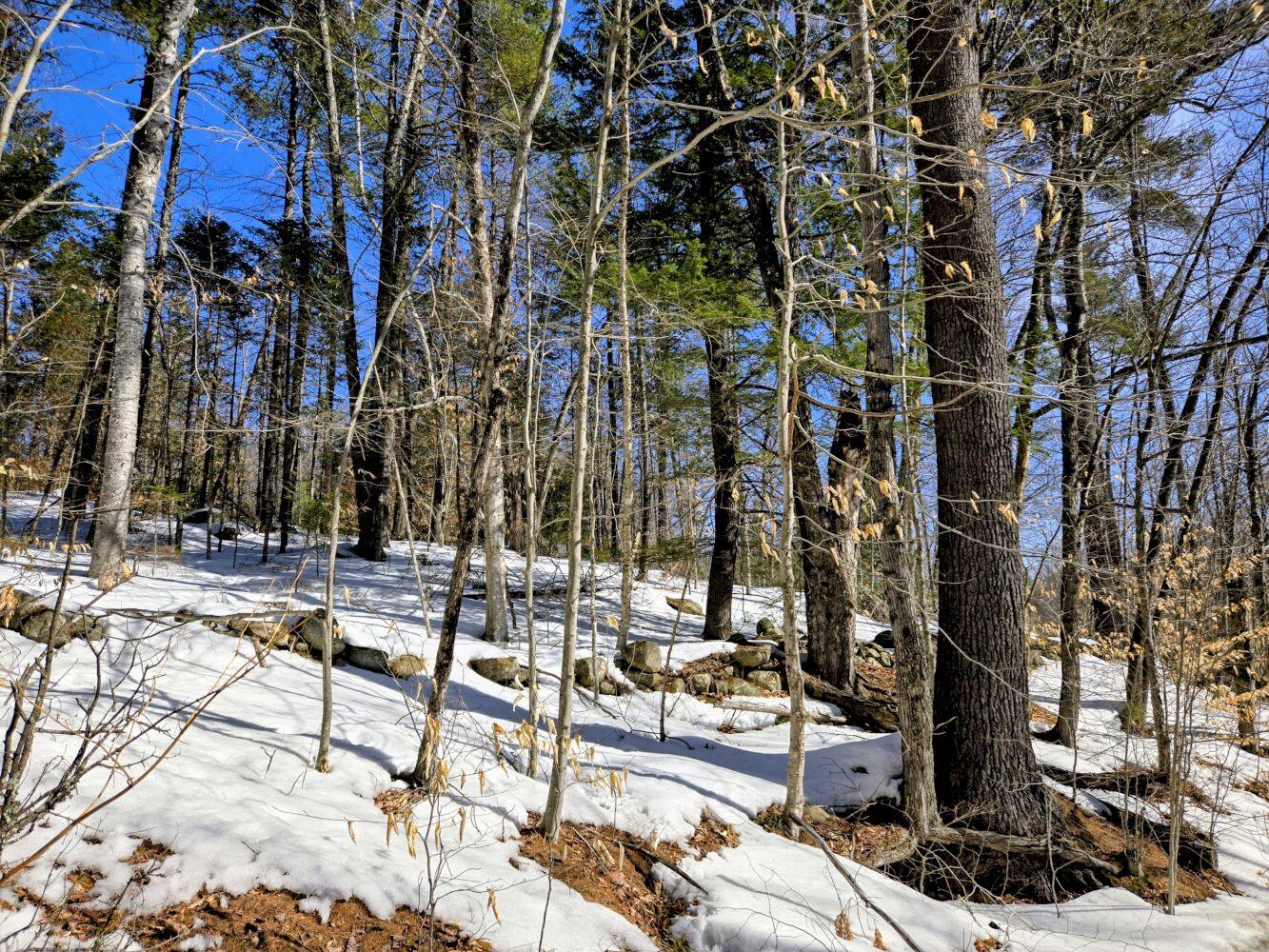 Lot 10c Staples Pond Road Property Photo 34