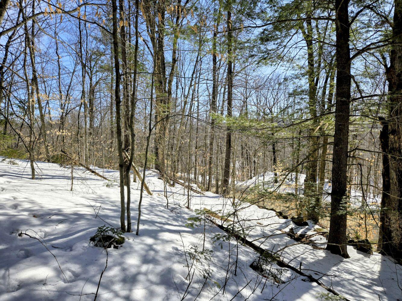 Lot 10c Staples Pond Road Property Photo 37