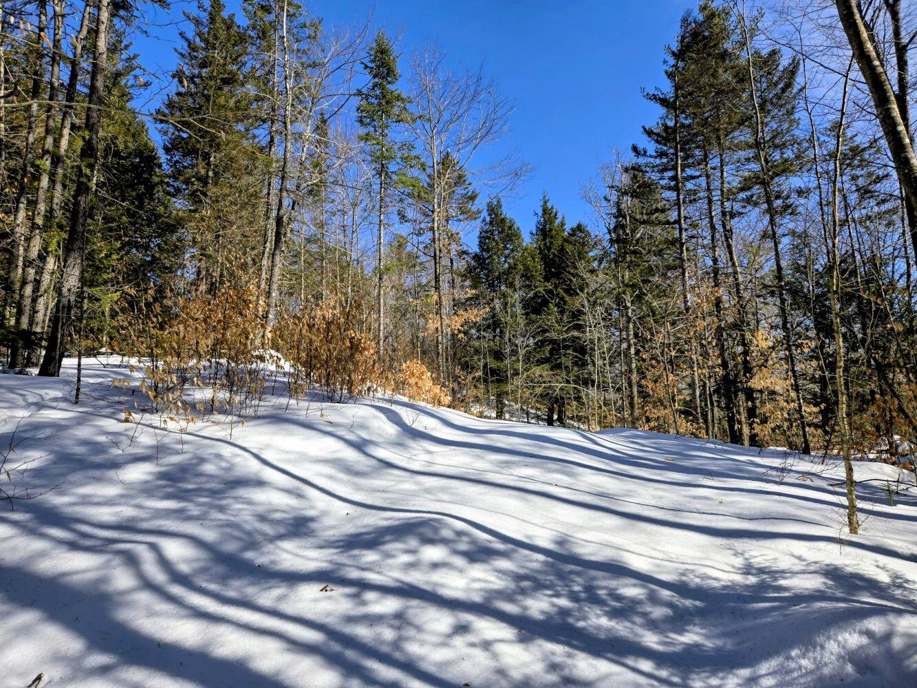 Lot 10c Staples Pond Road Property Photo 38