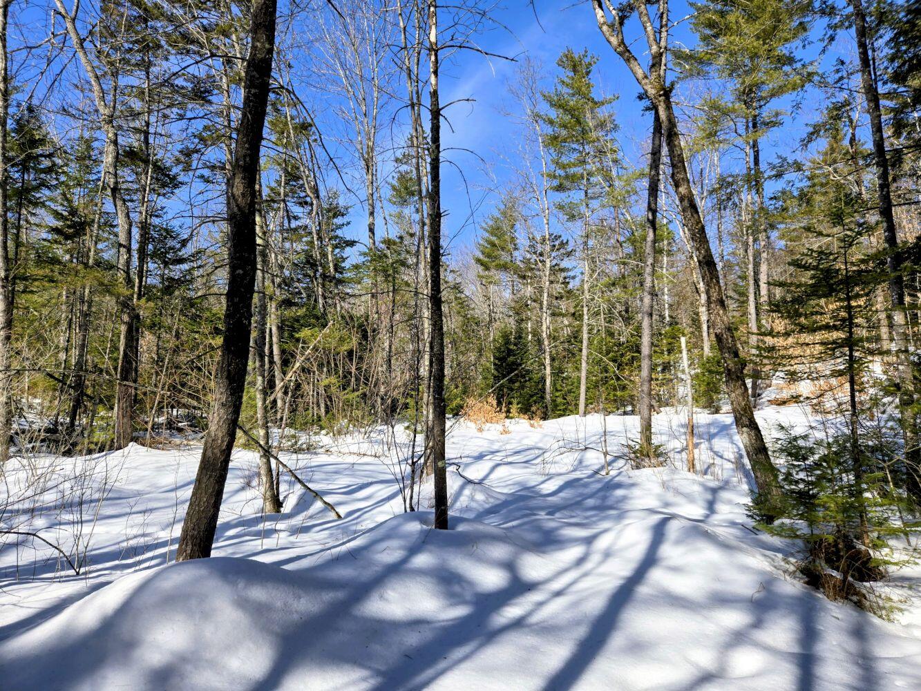 Lot 10c Staples Pond Road Property Photo 39