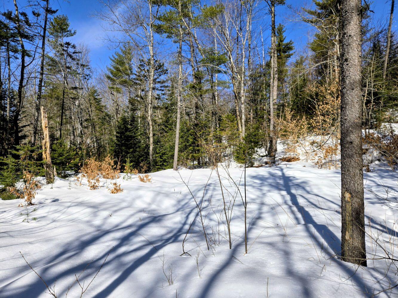 Lot 10c Staples Pond Road Property Photo 40