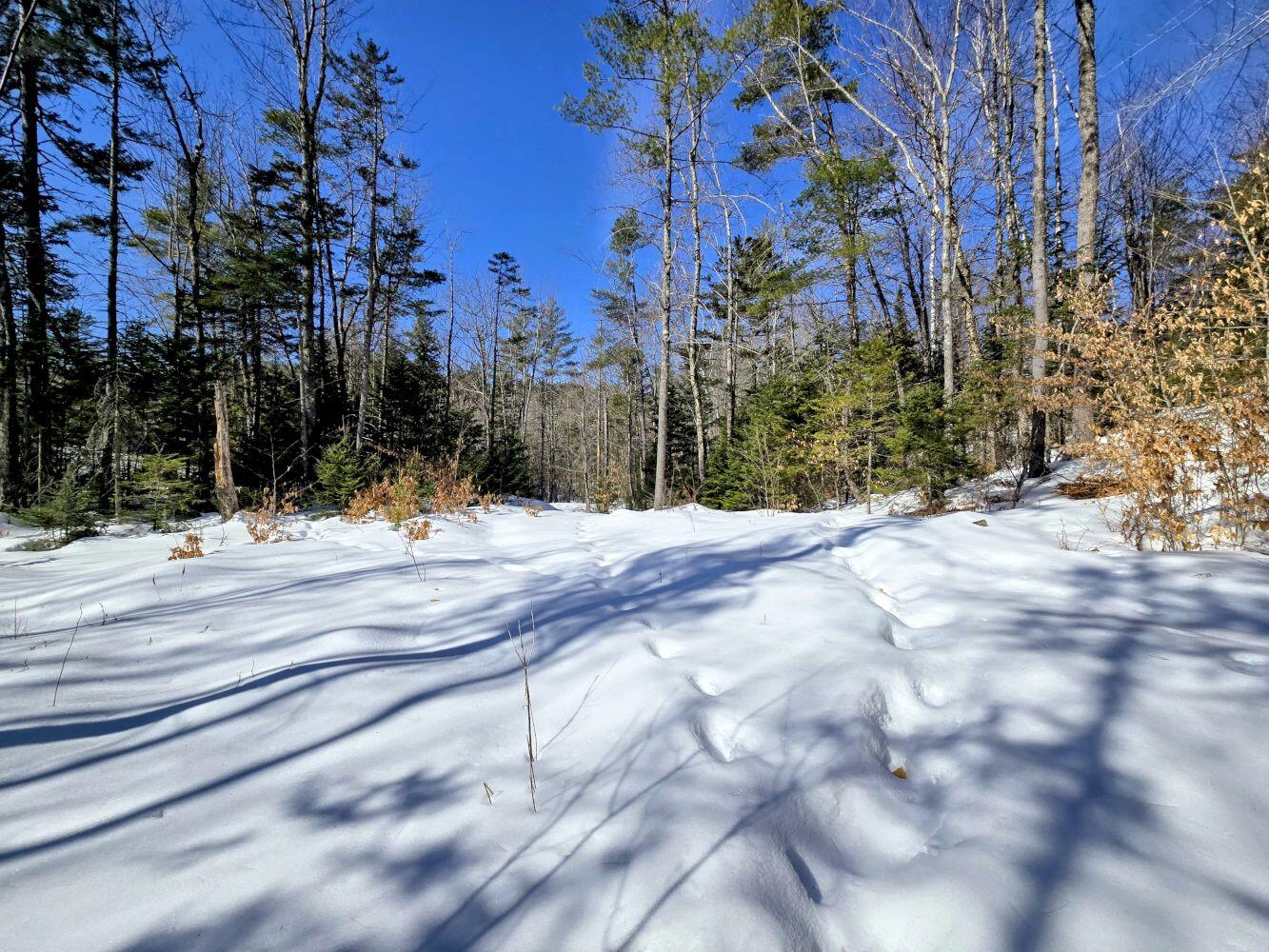 Lot 10c Staples Pond Road Property Photo 41