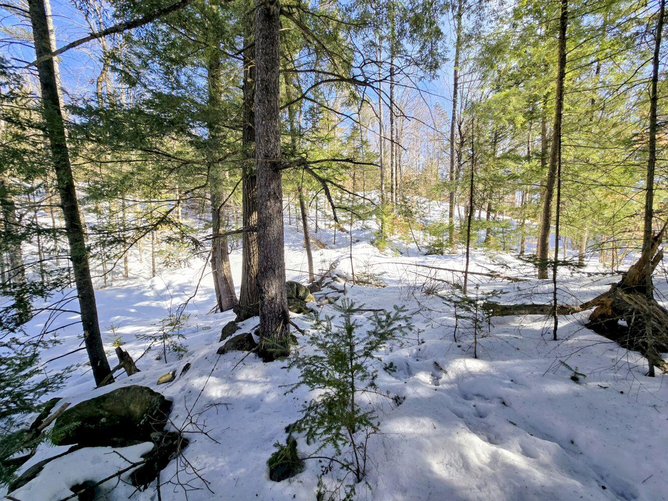 Lot 10c Staples Pond Road Property Photo 42