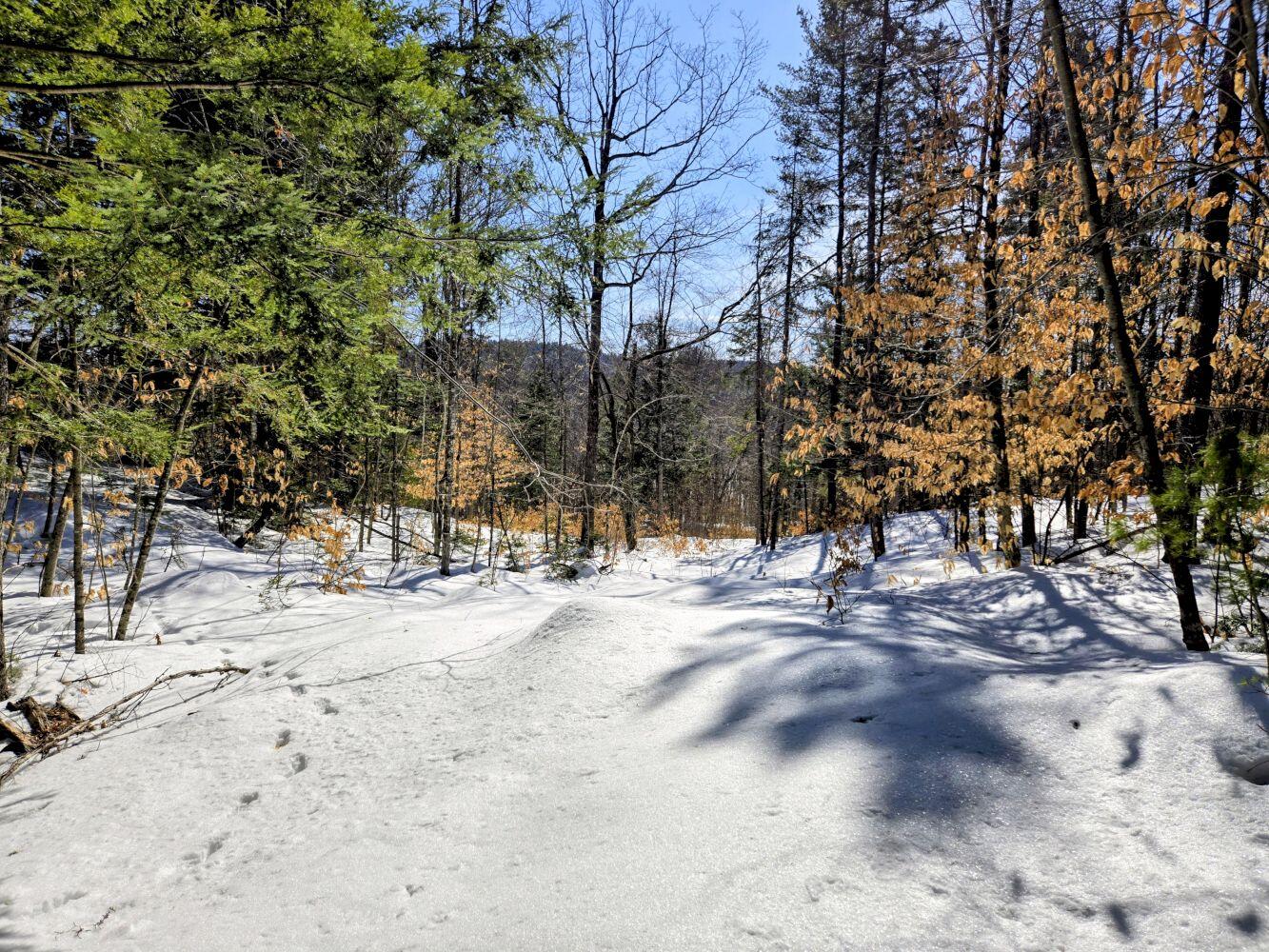 Lot 10c Staples Pond Road Property Photo 43