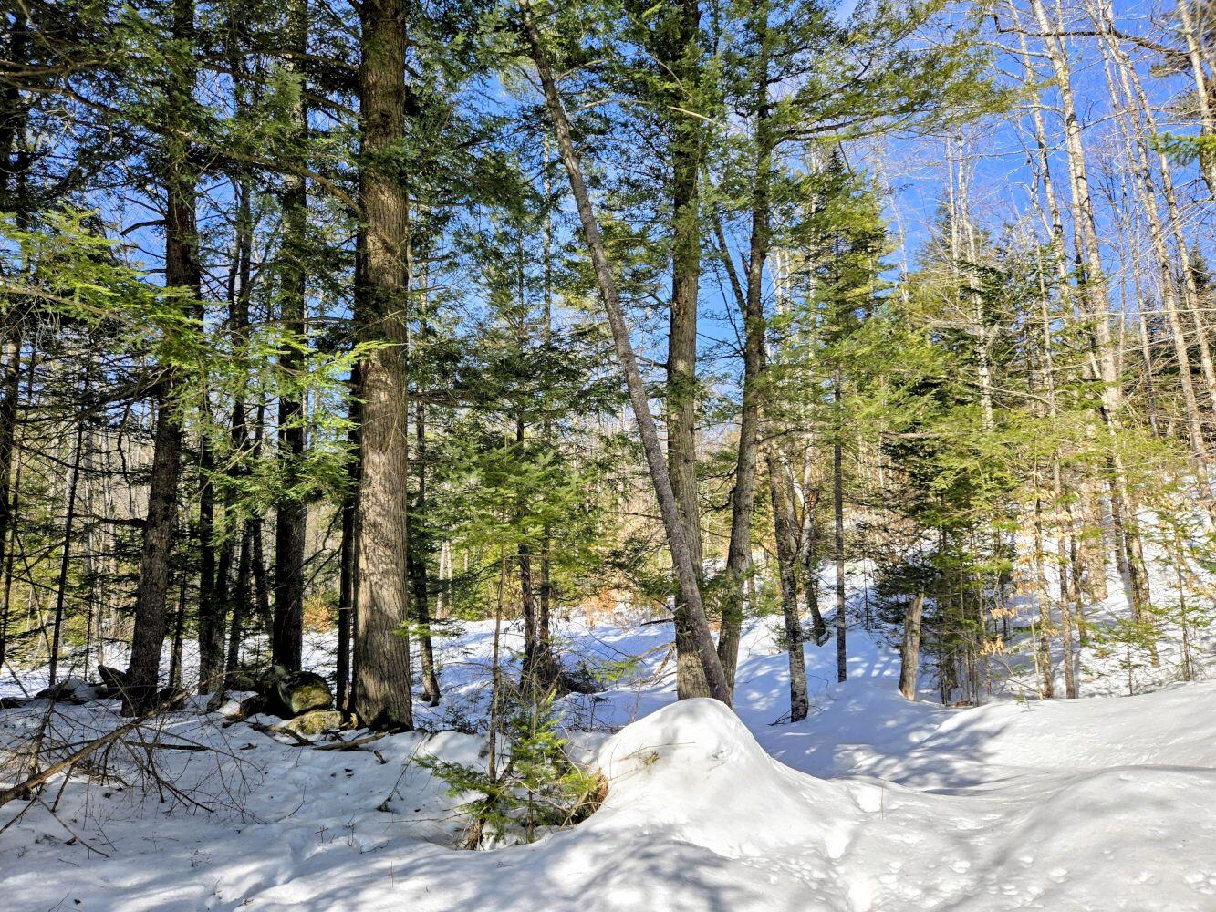 Lot 10c Staples Pond Road Property Photo 44