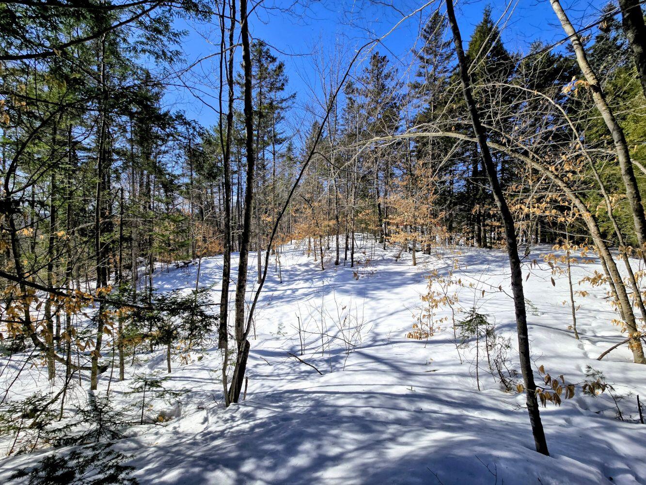Lot 10c Staples Pond Road Property Photo 45