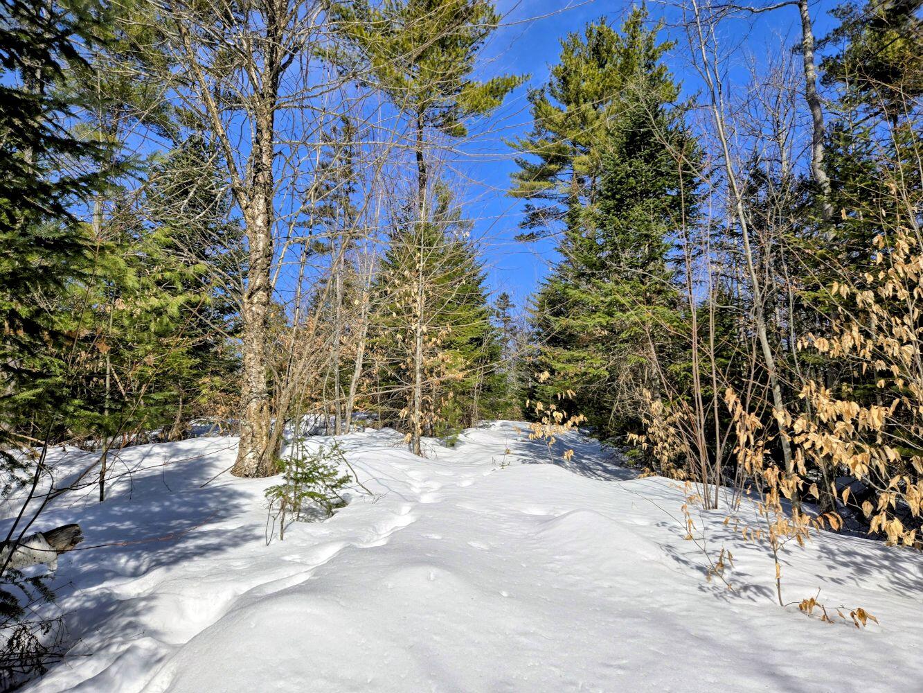 Lot 10c Staples Pond Road Property Photo 46