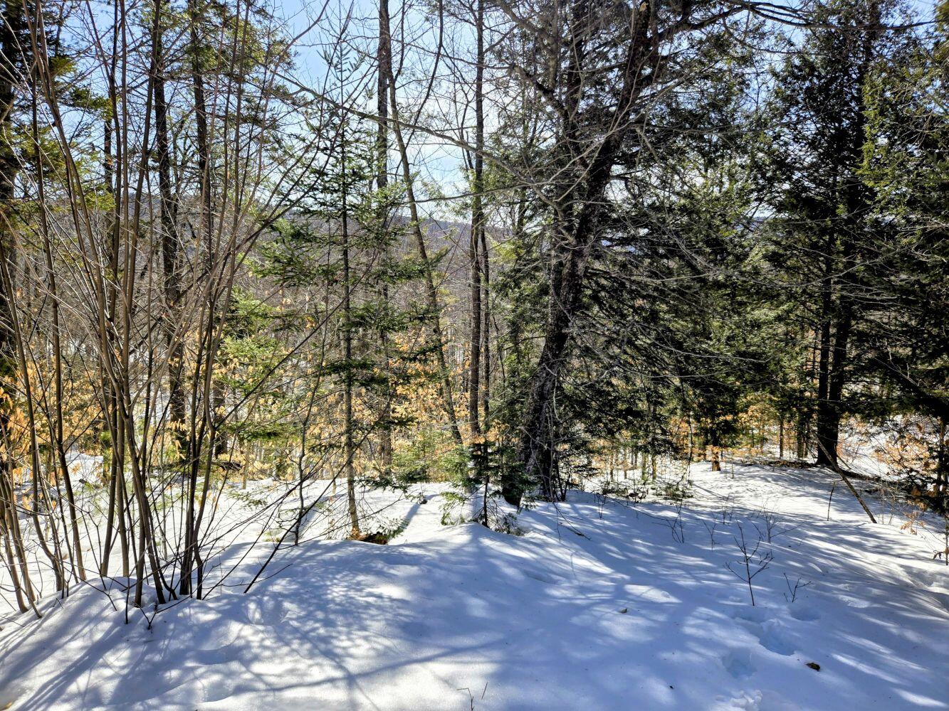 Lot 10c Staples Pond Road Property Photo 47