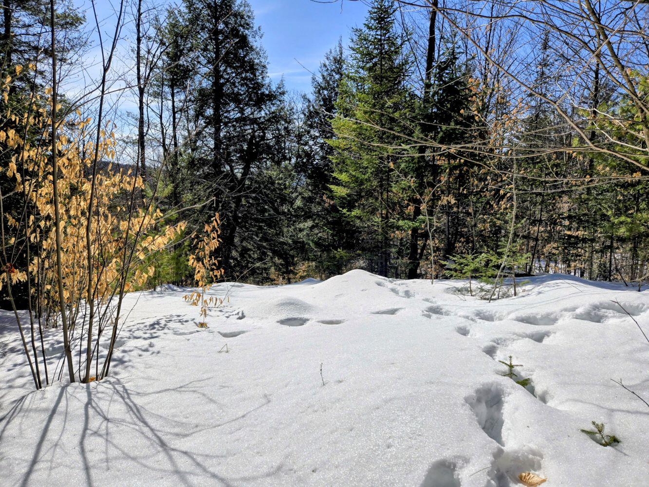Lot 10c Staples Pond Road Property Photo 48