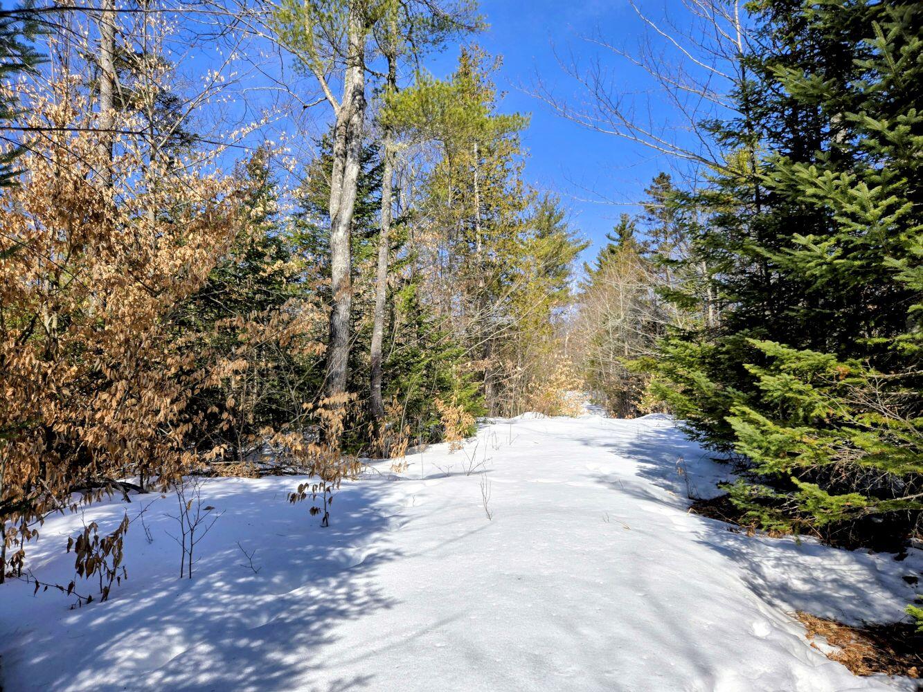 Lot 10c Staples Pond Road Property Photo 49
