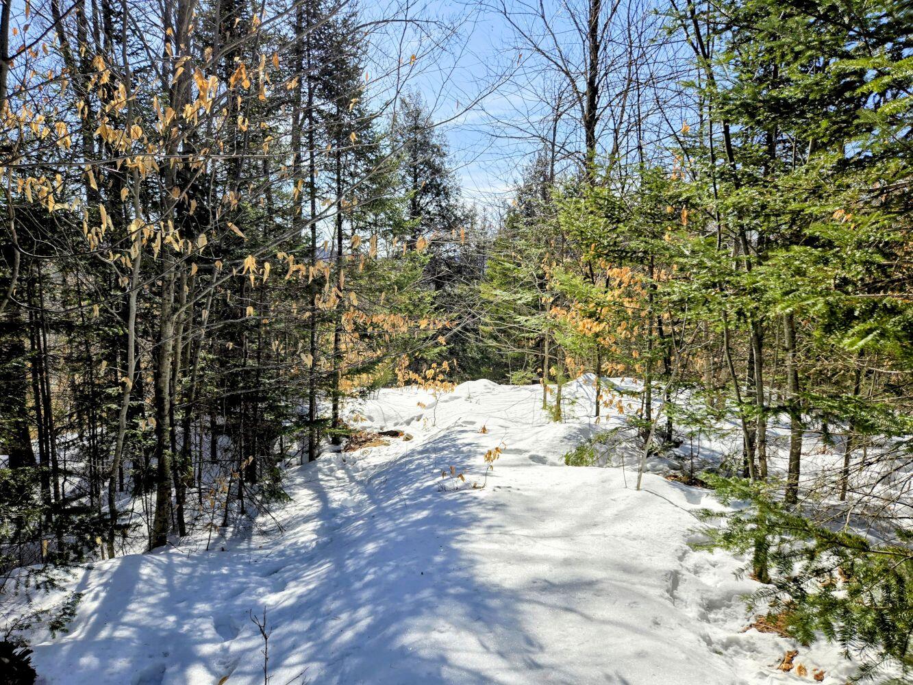 Lot 10c Staples Pond Road Property Photo 50