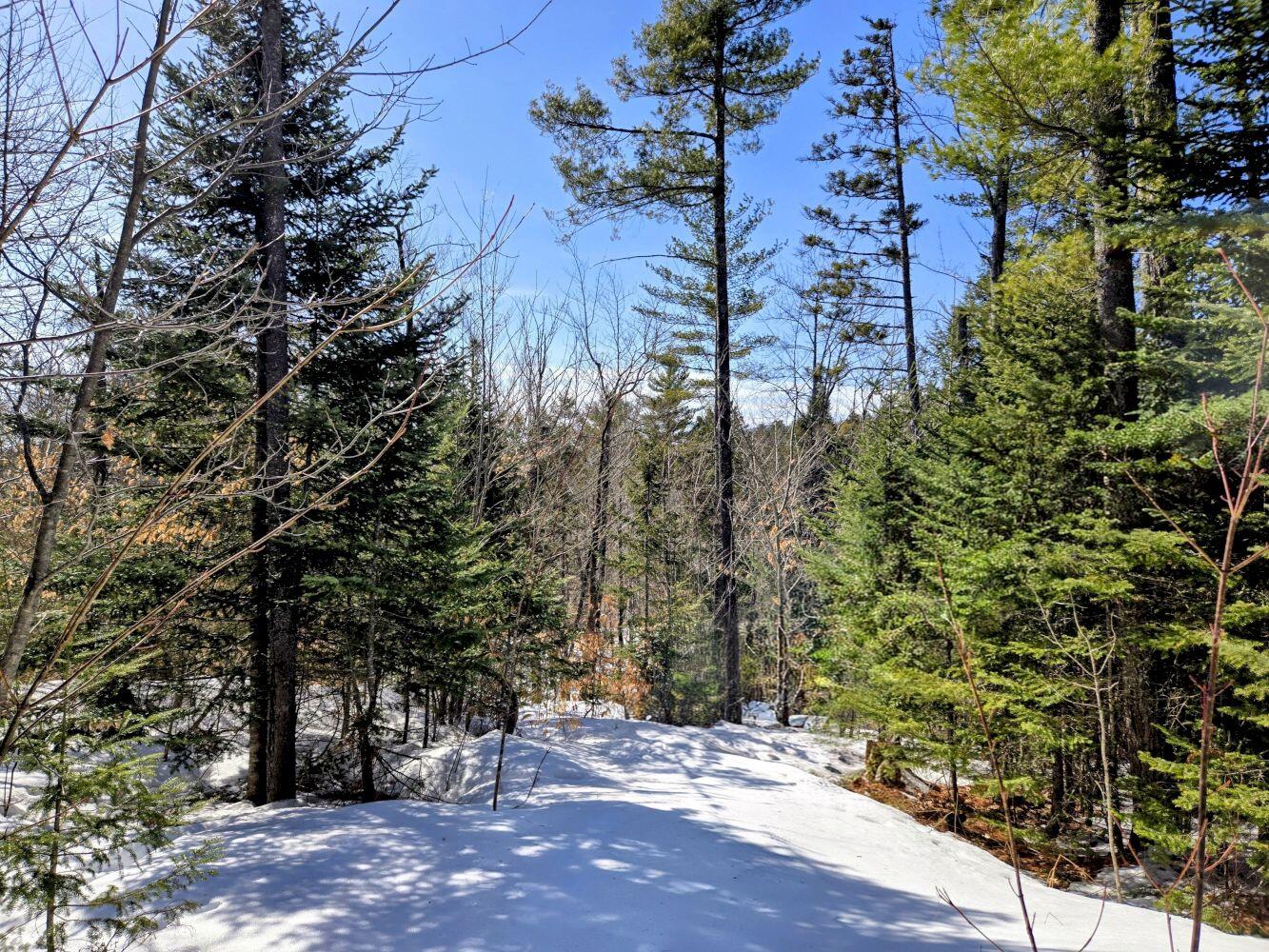 Lot 10c Staples Pond Road Property Photo 51