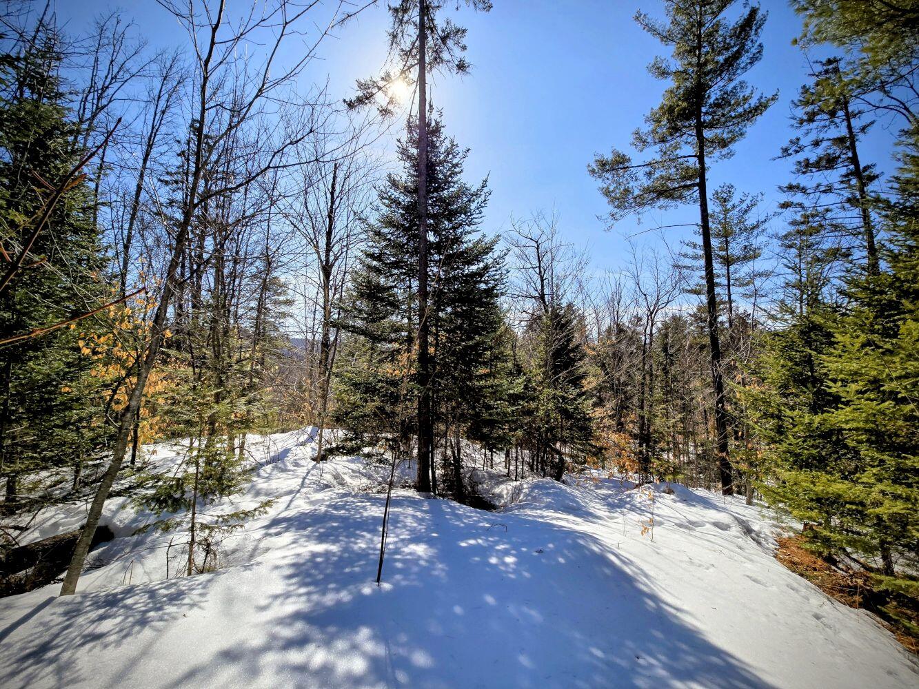 Lot 10c Staples Pond Road Property Photo 52