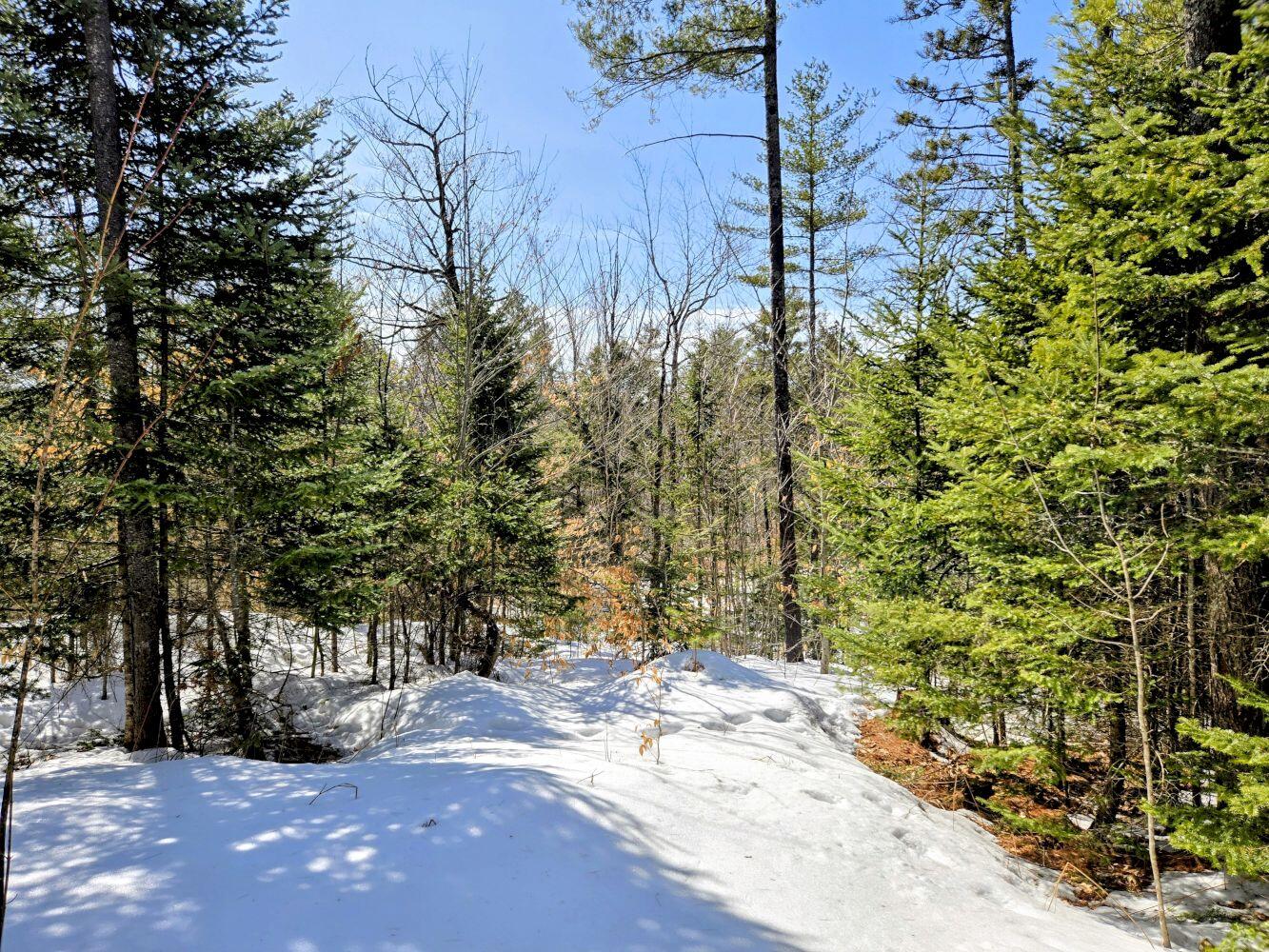 Lot 10c Staples Pond Road Property Photo 53