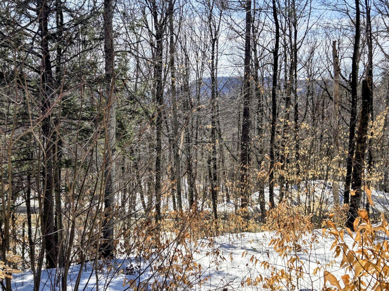 Lot 10c Staples Pond Road Property Photo 54