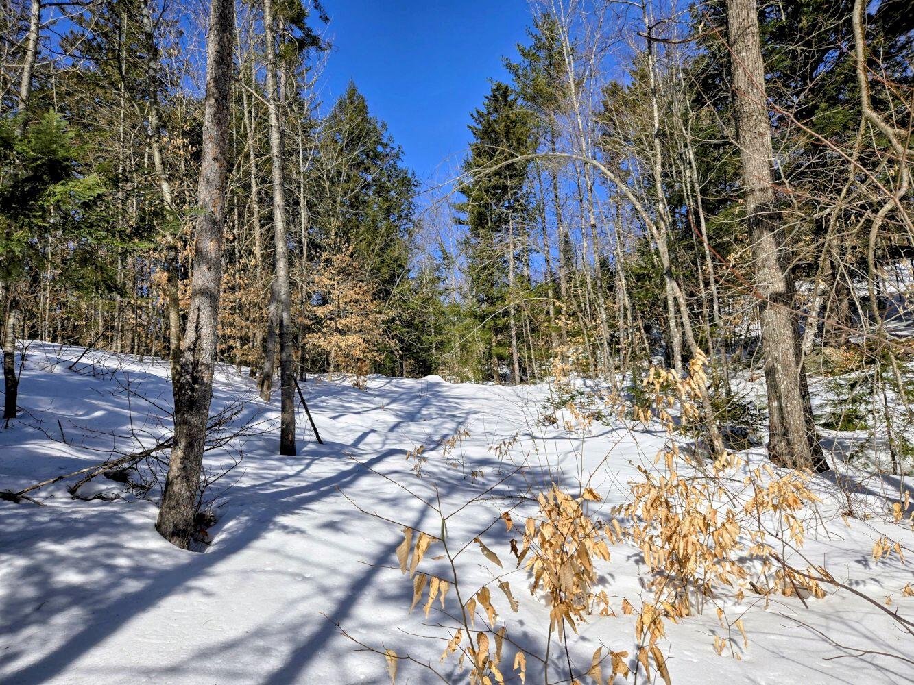 Lot 10c Staples Pond Road Property Photo 55