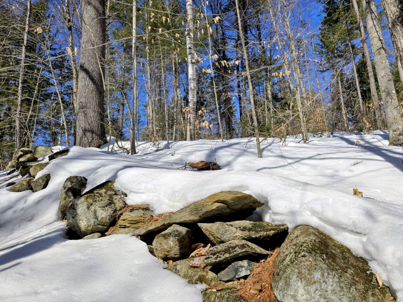 Lot 10c Staples Pond Road Property Photo 56