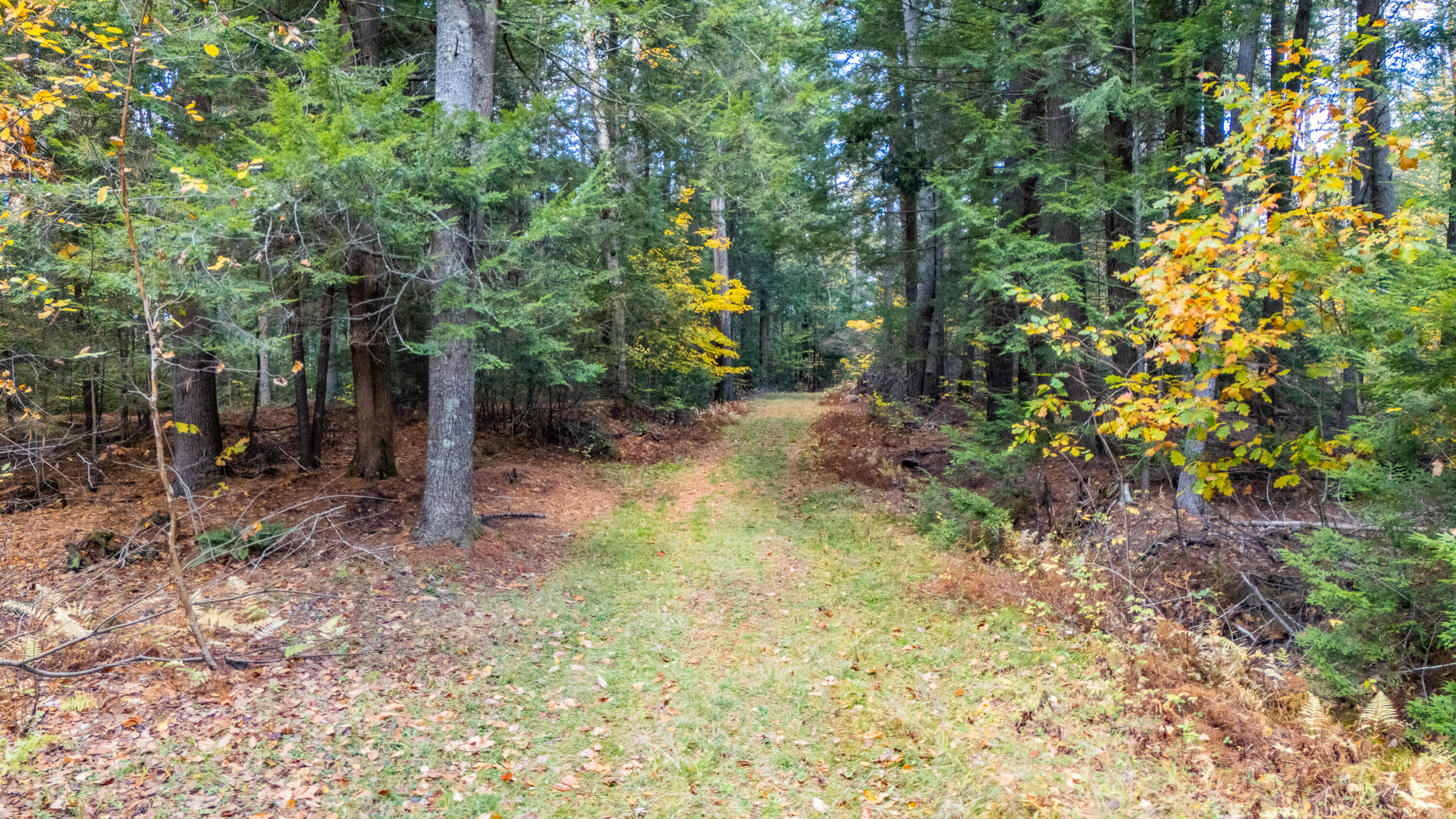 Lot 15 Gibbs Road Property Photo 4