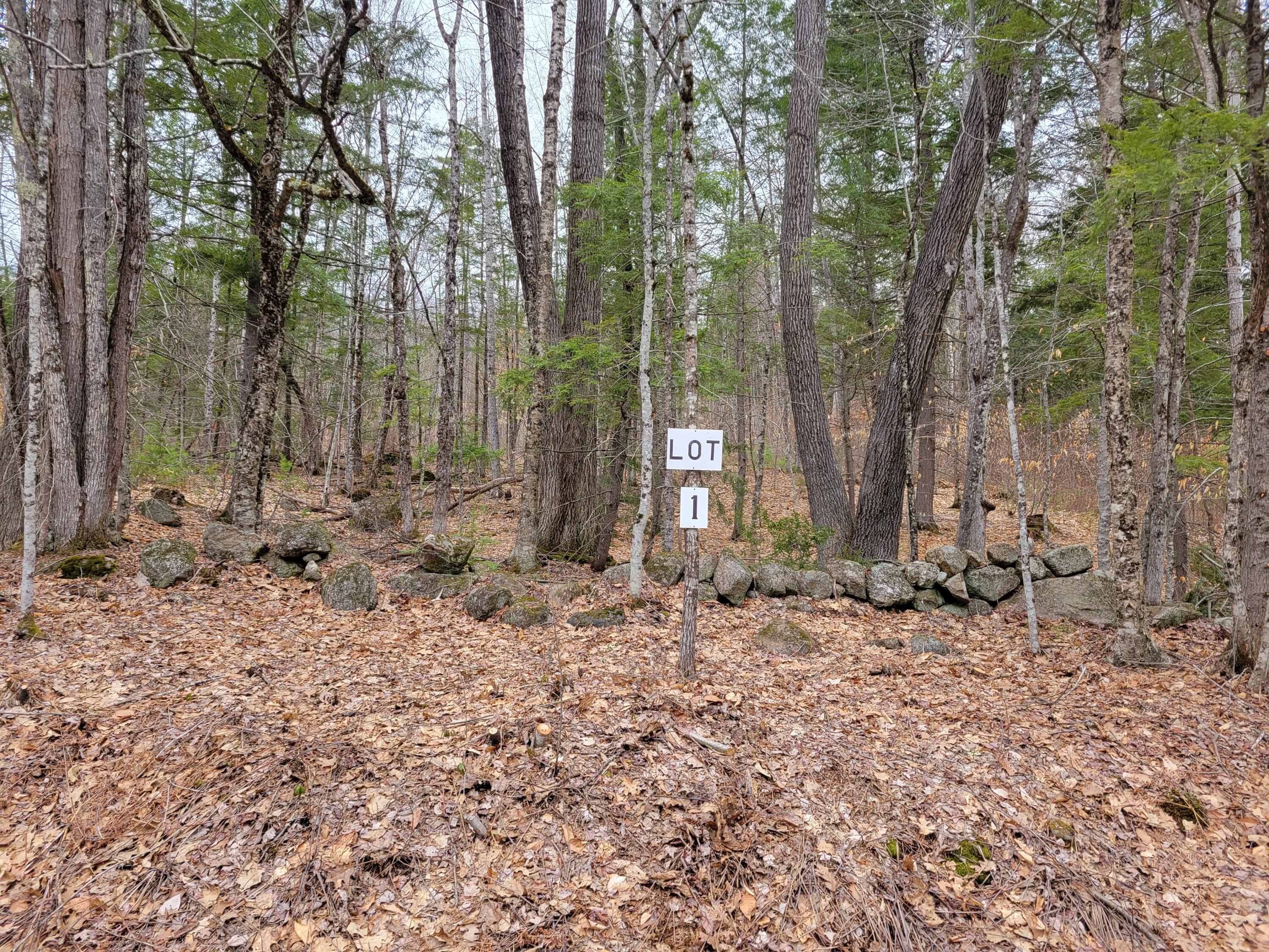 Lot #1 W West Fryeburg Road Property Photo 1