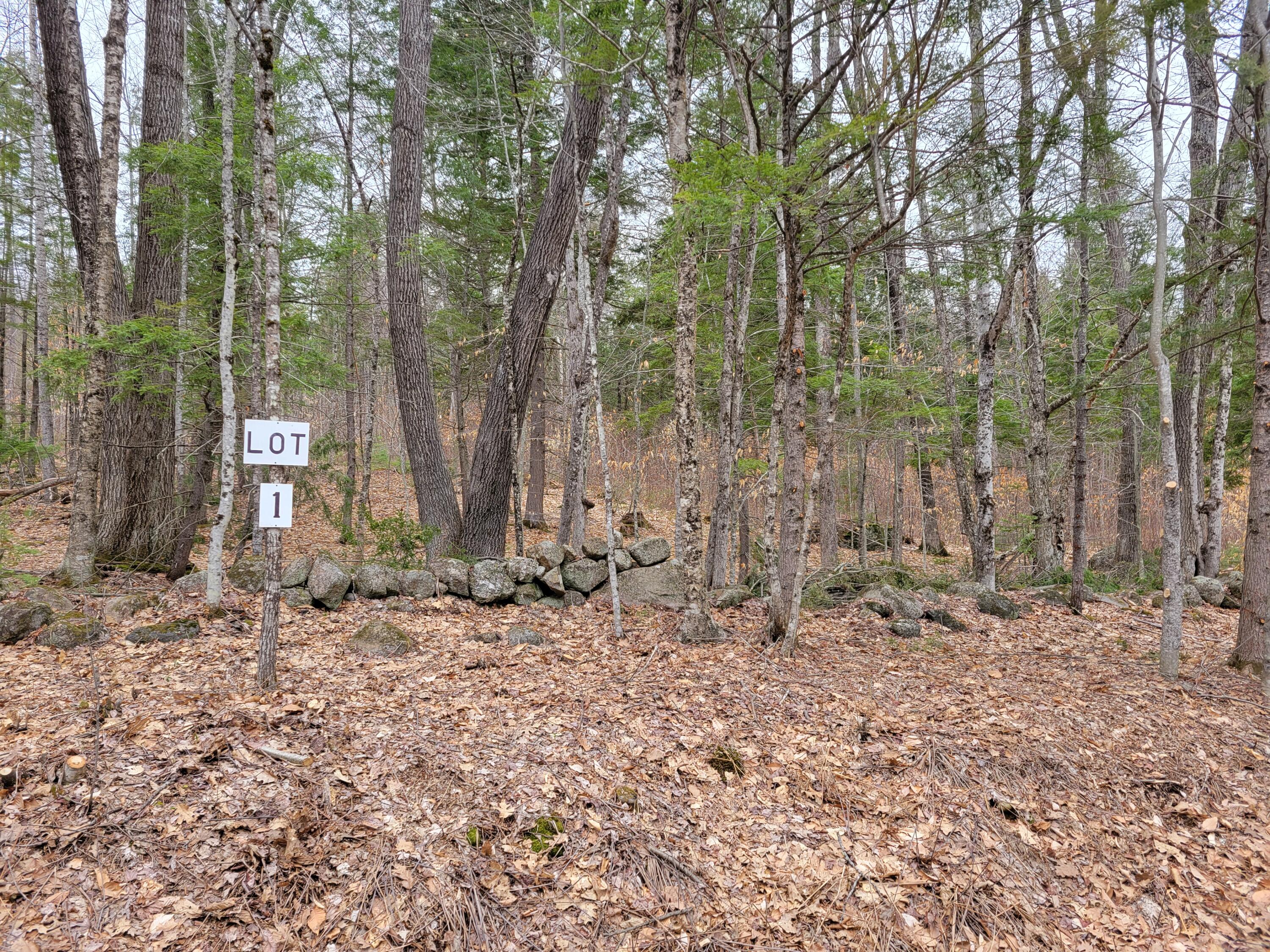 Lot #1 W West Fryeburg Road Property Photo 2