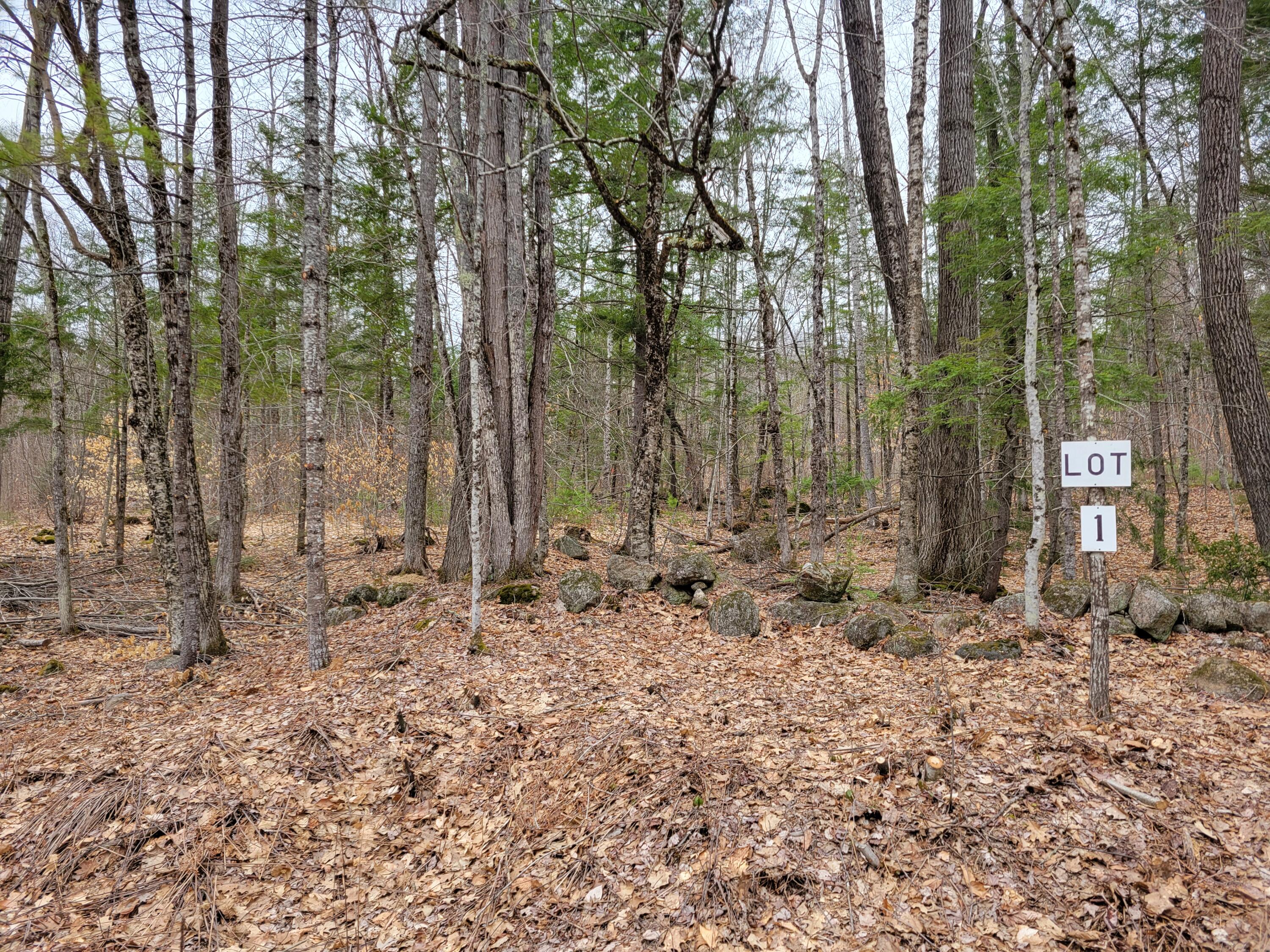 Lot #1 W West Fryeburg Road Property Photo 3