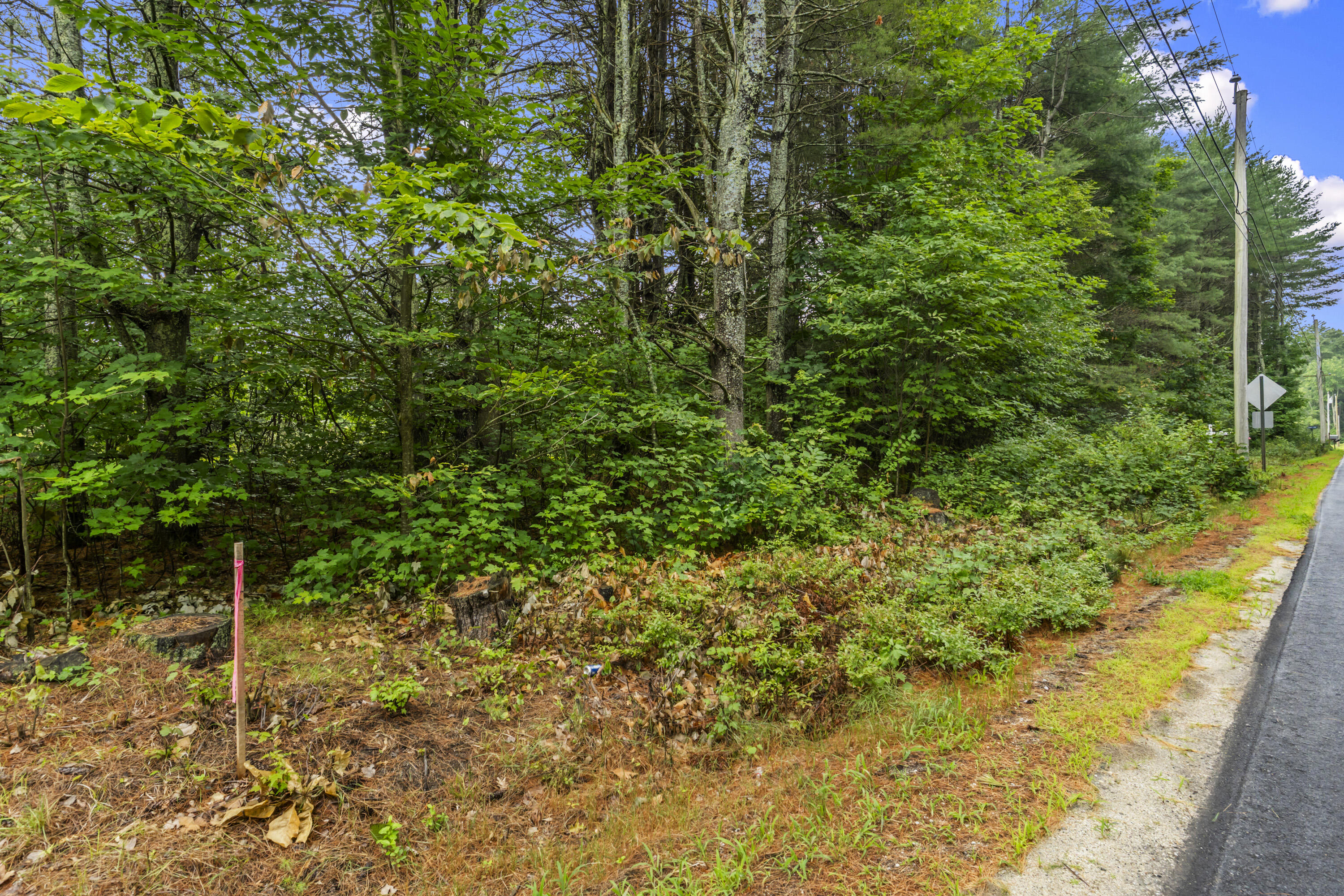 Lot 3 Clarks Mills Road Property Photo 9