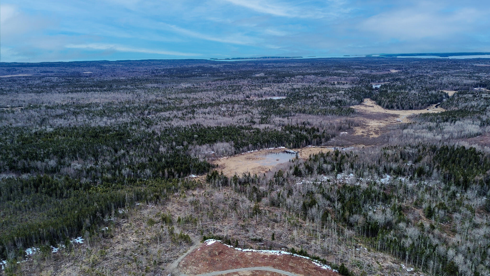 0 Lively Brook Road Property Photo 37