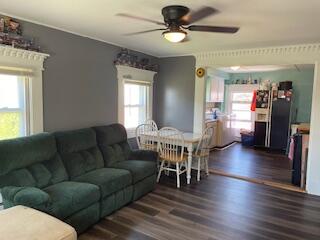 13 Mcmullen Avenue Property Photo 45