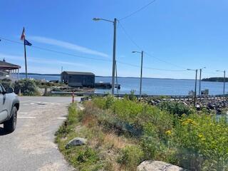 13 Mcmullen Avenue Property Photo 87