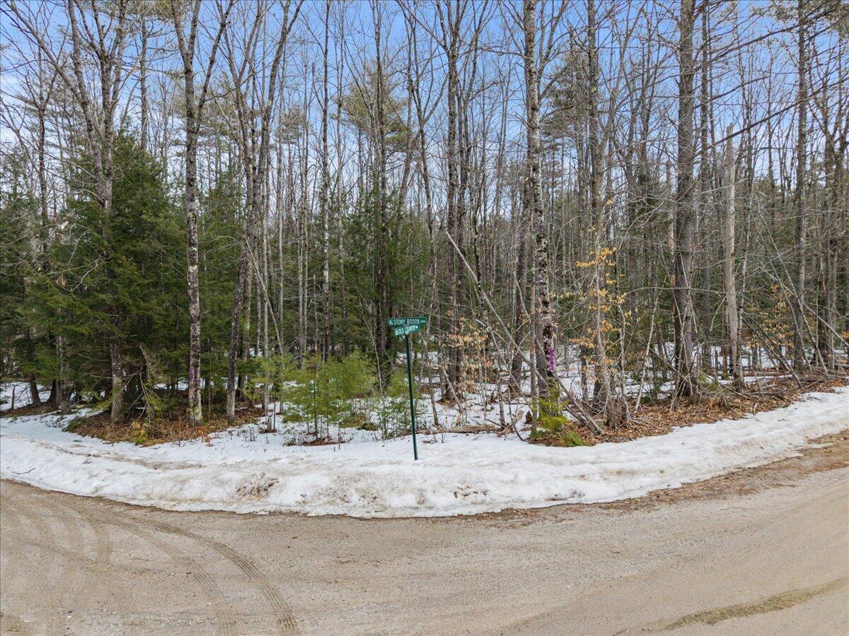 Lot 23 Stony Brook Drive Property Photo 1