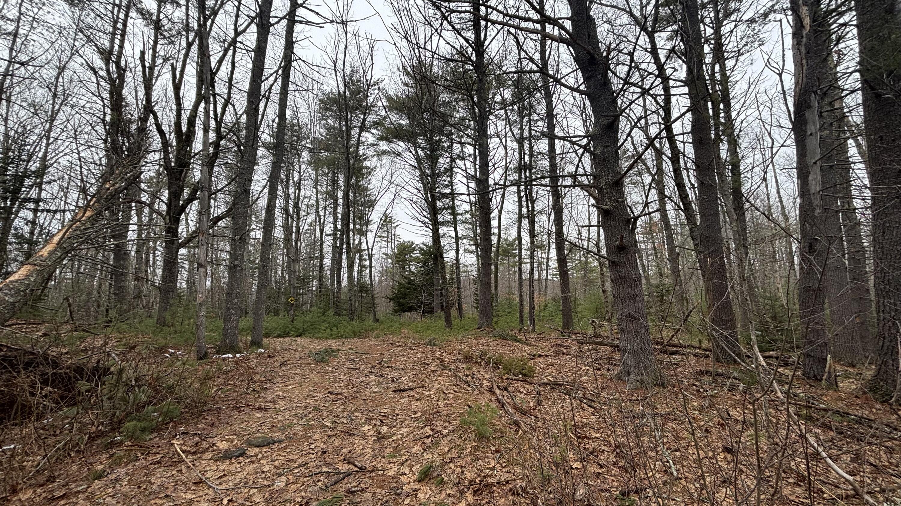 74 Mountain Road Property Photo 3