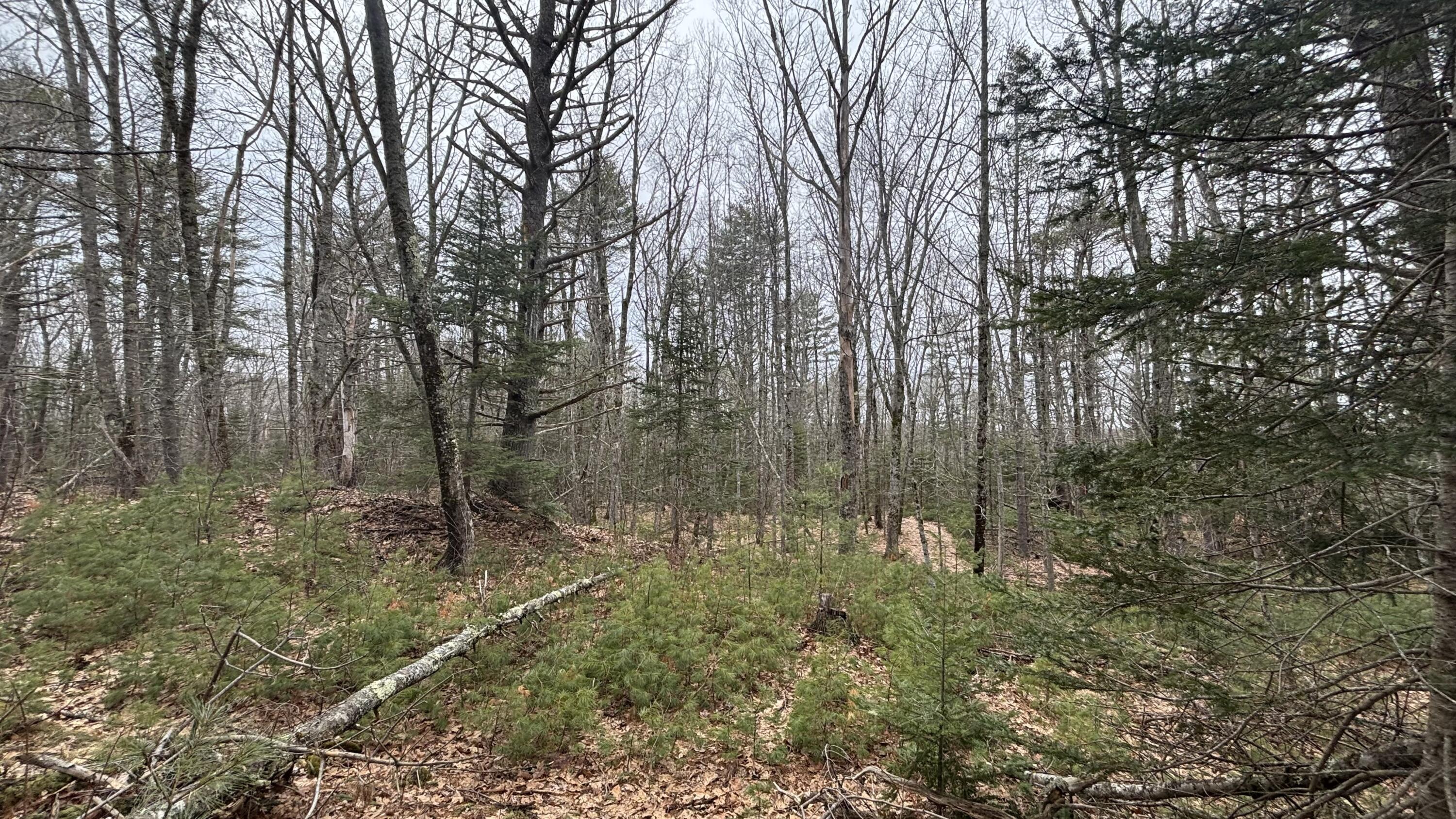 74 Mountain Road Property Photo 5