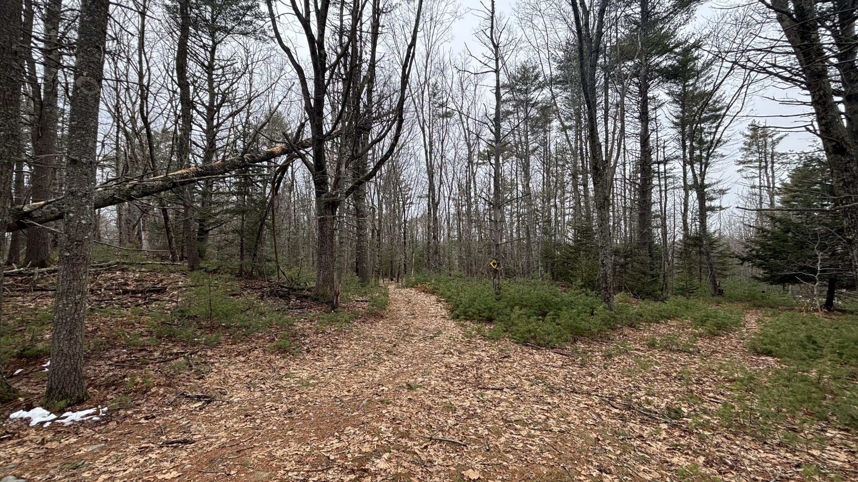 74 Mountain Road Property Photo 6