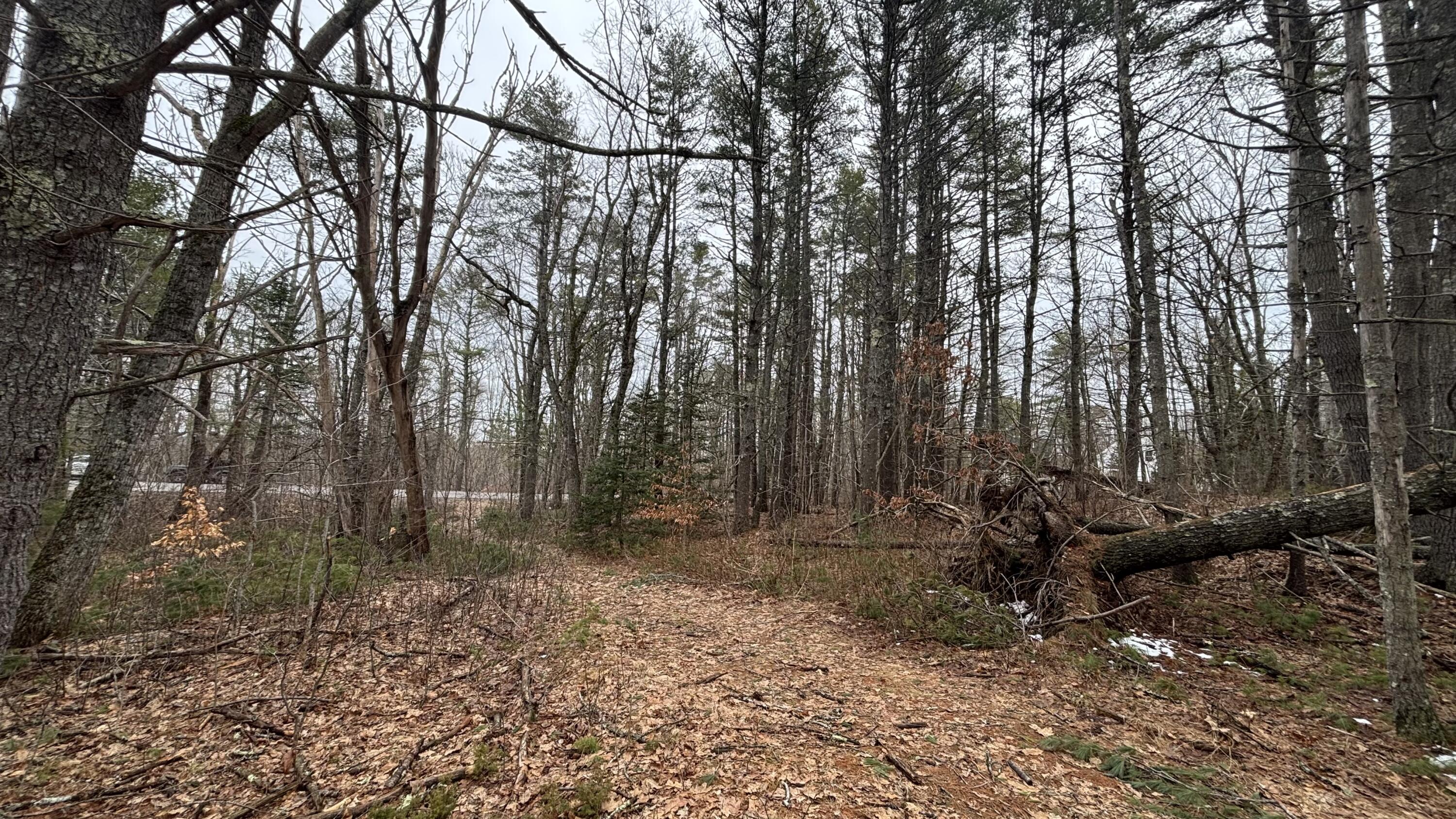 74 Mountain Road Property Photo 8
