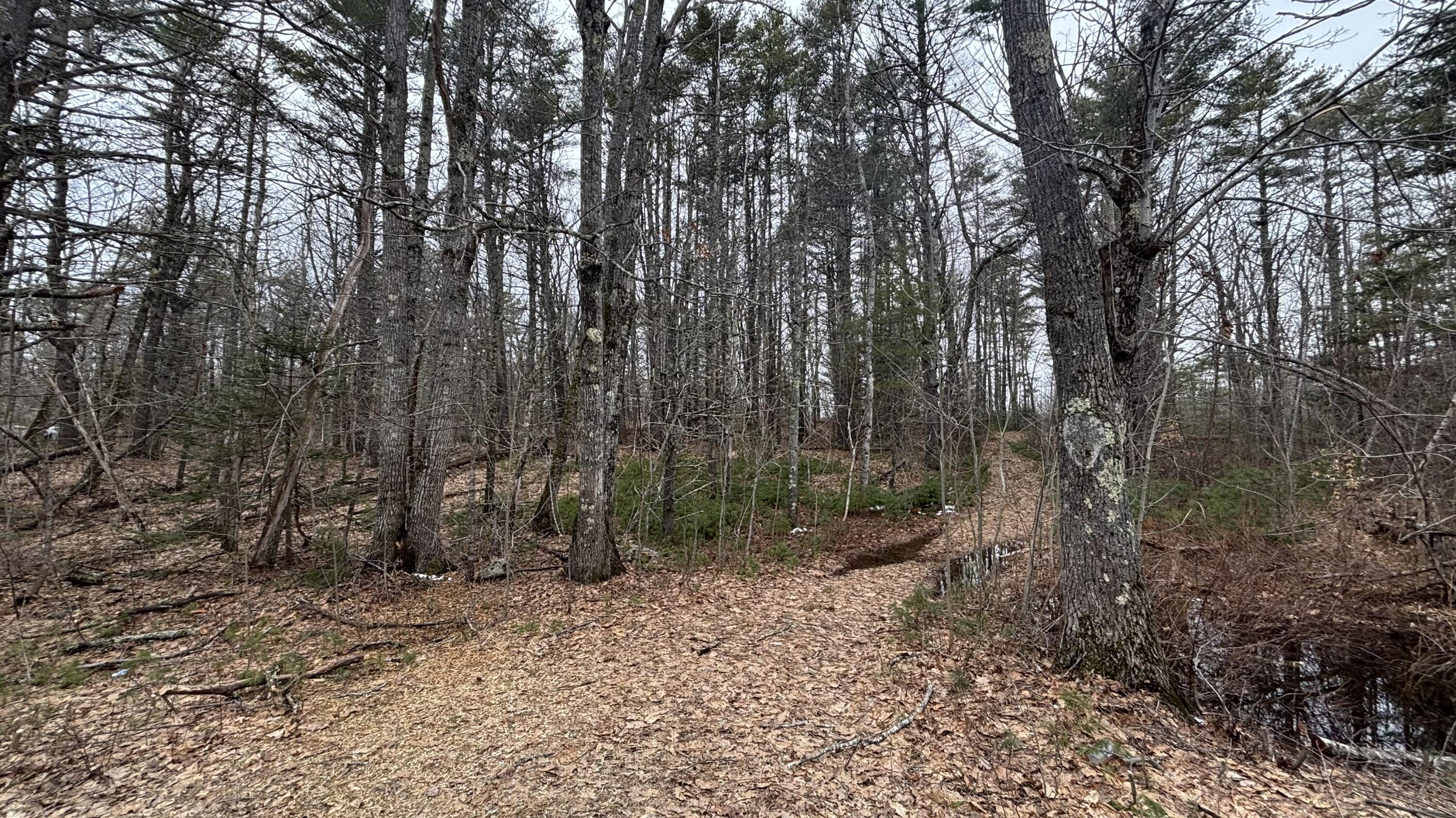 74 Mountain Road Property Photo 10