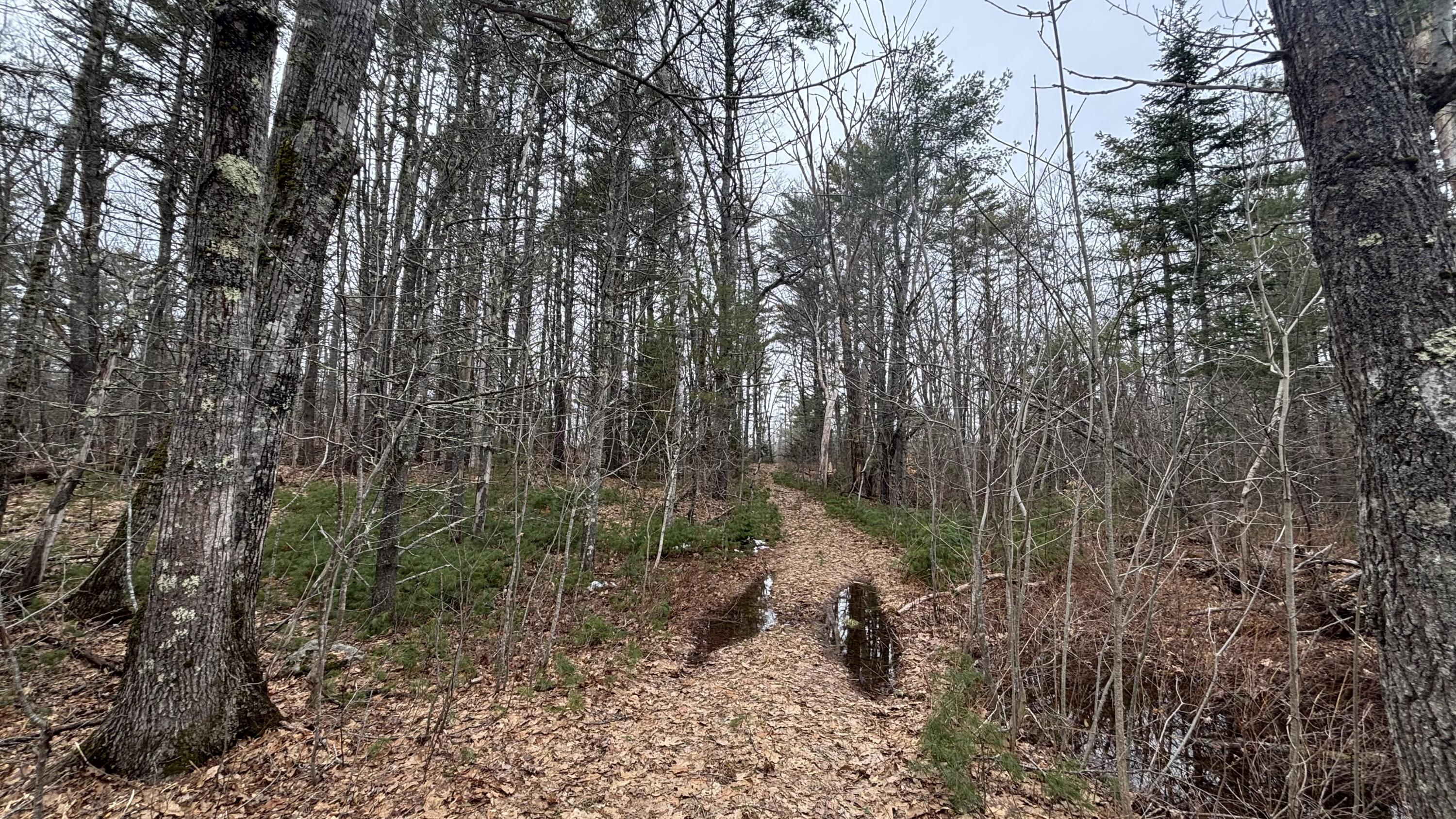 74 Mountain Road Property Photo 11