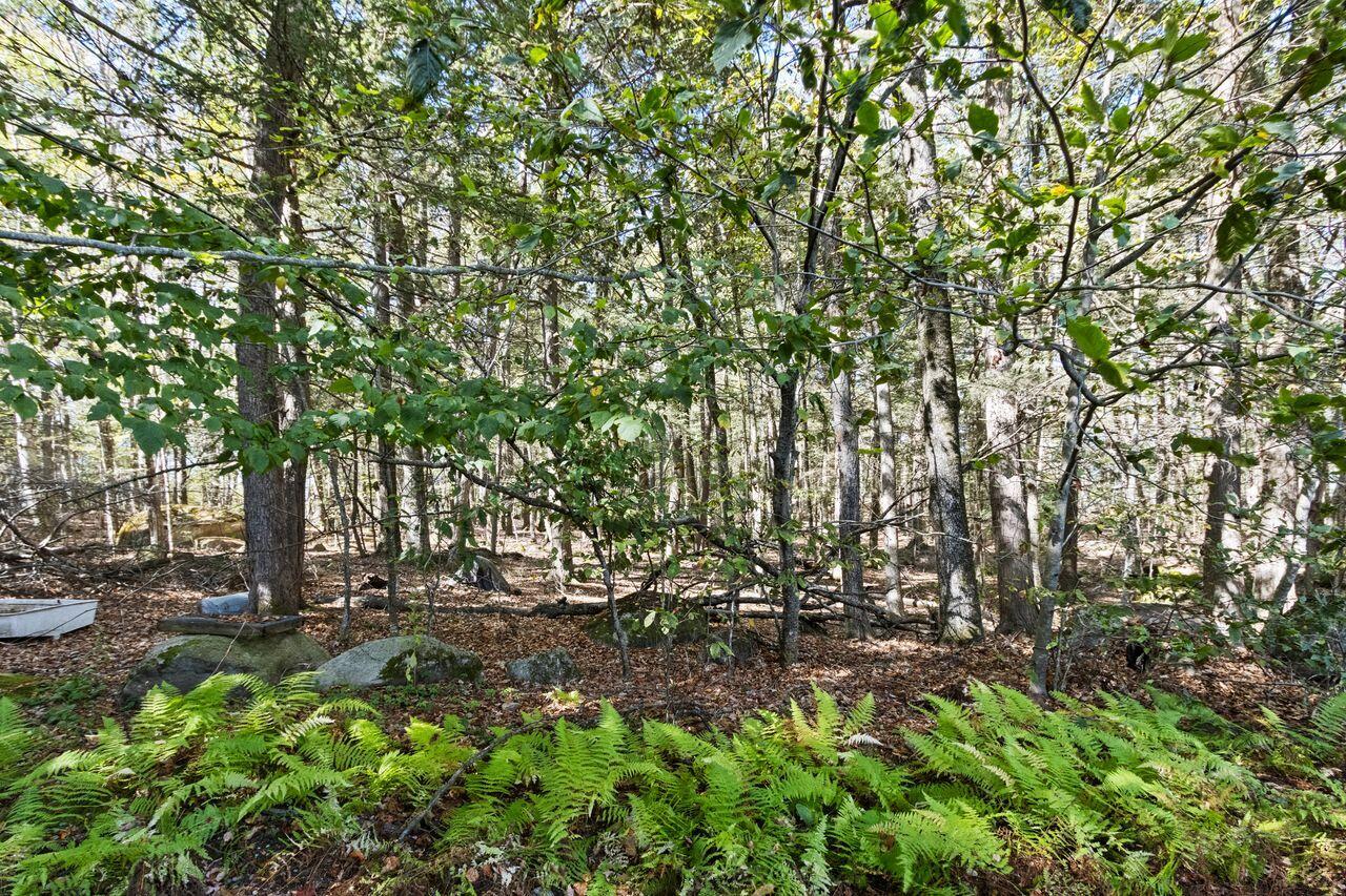 114 Wild Acres Road Property Photo 16
