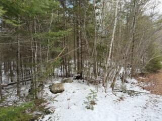 Lot 068002 Shore Road Property Photo 1