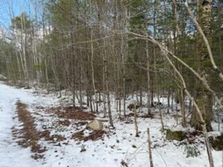 Lot 068002 Shore Road Property Photo 2