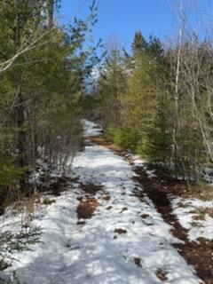 Lot 068002 Shore Road Property Photo 4